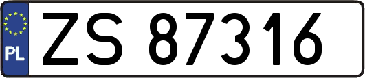 ZS87316