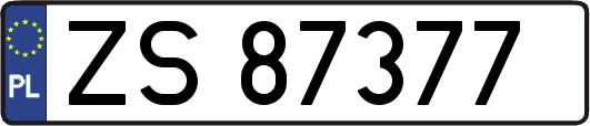 ZS87377