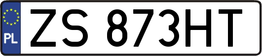 ZS873HT