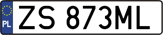 ZS873ML