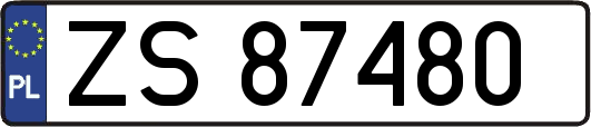 ZS87480