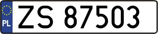 ZS87503