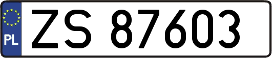 ZS87603