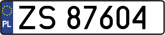 ZS87604