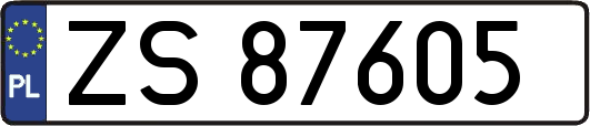 ZS87605