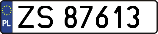 ZS87613