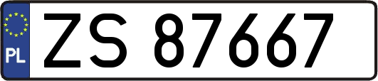 ZS87667