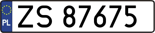 ZS87675