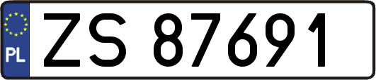 ZS87691