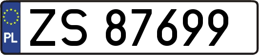 ZS87699