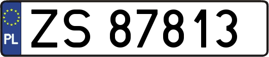 ZS87813