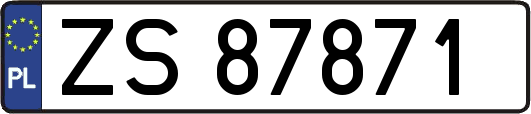 ZS87871