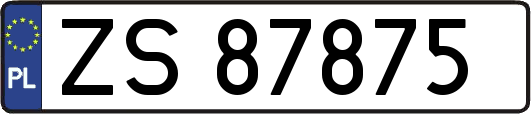 ZS87875