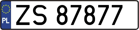 ZS87877