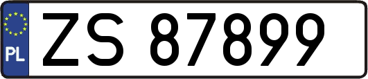 ZS87899