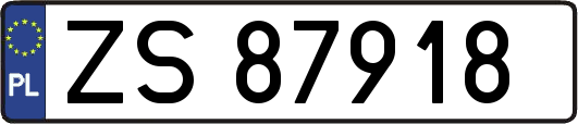 ZS87918