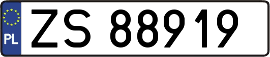ZS88919
