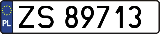 ZS89713
