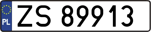 ZS89913