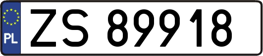 ZS89918