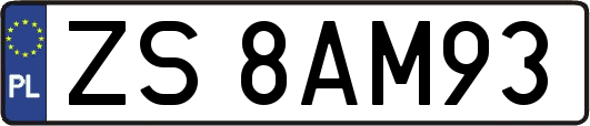 ZS8AM93