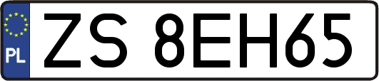 ZS8EH65