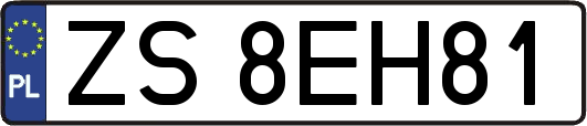 ZS8EH81