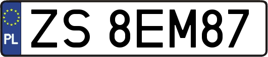 ZS8EM87