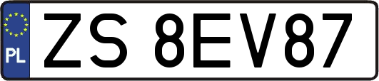 ZS8EV87