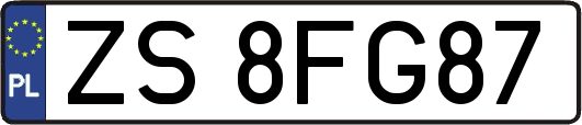 ZS8FG87
