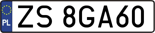 ZS8GA60