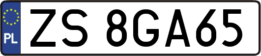 ZS8GA65