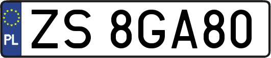 ZS8GA80