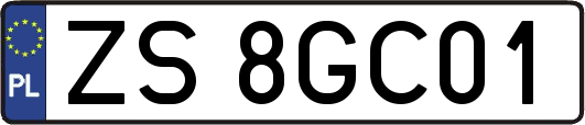 ZS8GC01