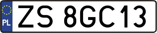 ZS8GC13