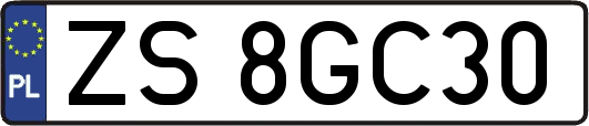ZS8GC30
