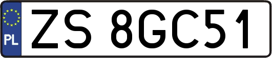 ZS8GC51