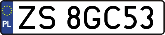 ZS8GC53