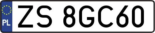ZS8GC60
