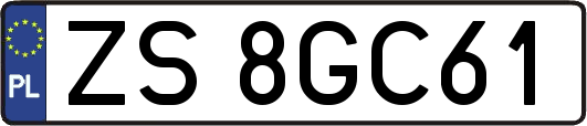 ZS8GC61