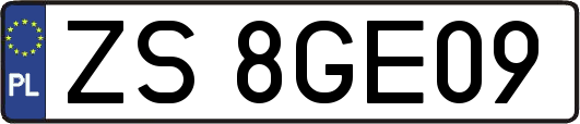 ZS8GE09