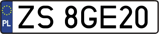 ZS8GE20