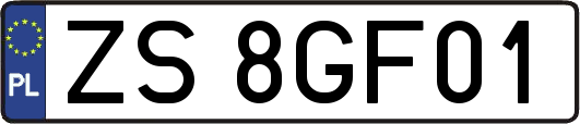ZS8GF01