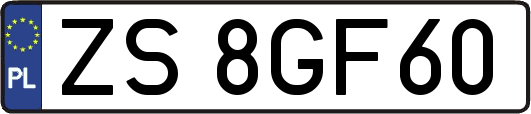 ZS8GF60