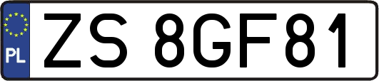 ZS8GF81