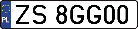 ZS8GG00