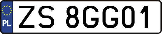 ZS8GG01