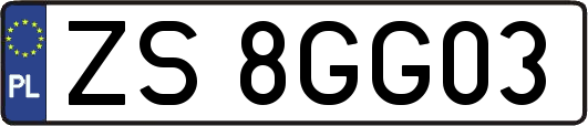 ZS8GG03