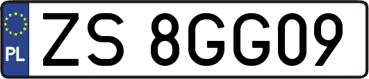 ZS8GG09