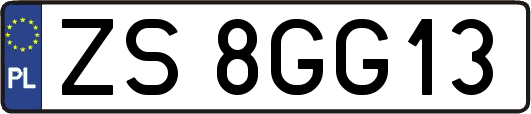 ZS8GG13